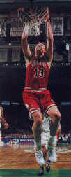 Luc Longley
